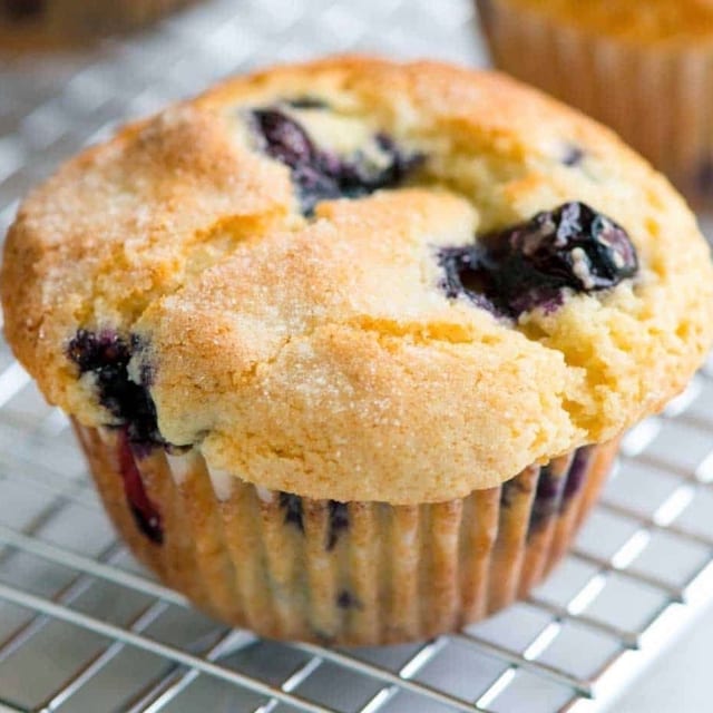 Large Muffins.